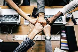 How to Build an Effective Founding Team 0 (0)