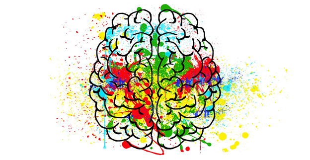 Mental Brain Puzzles and Exercise Games Which can help to boost your brain 0 (0)