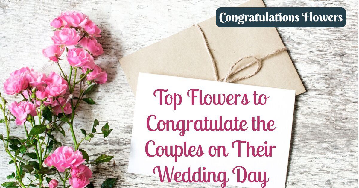 Top Flowers to Congratulate the Couples on Their Wedding Day